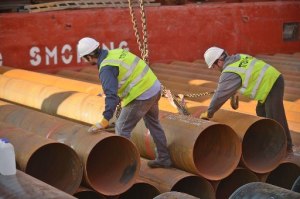 סווארים בנמל אשדוד - צילום אבי רוקח