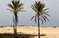 טיול בים החולות בט