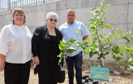 נוטעים עצים באשקלון לזכר נרצחי השואה